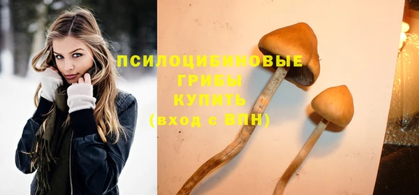 прущие крисы Армянск